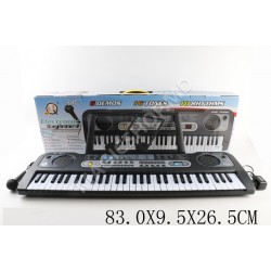 Orga electronica (23160) (95x265x830mm)
