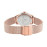 Ceas pentru femei Pierre Lannier PURE 050J928