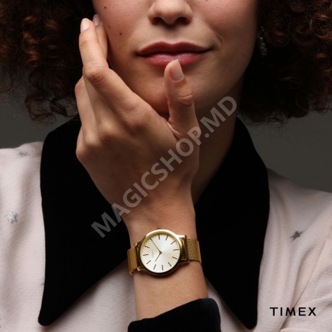 Ceas pentru femei Timex Metropolitan 34mm Mesh Band Watch