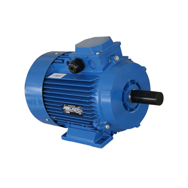 Motor electric . AIR 112 M trifazat 2.2 kW 220/380 V 750 rot/min talpă