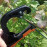 Capsator de legat plante Tapener HTR 45C - Япония