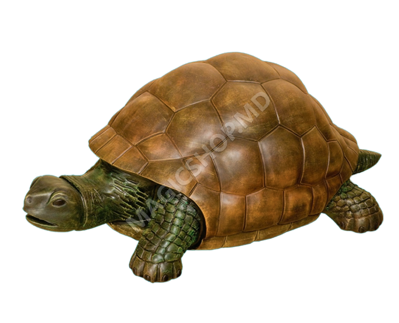 Figurina Cera Broască ţestoasă (mare)