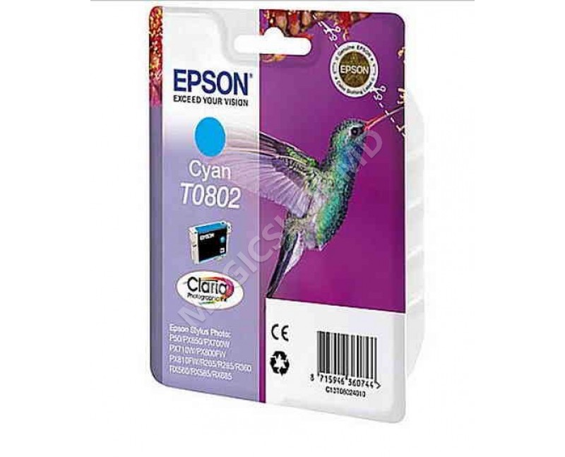 Cartridge Epson T08024010