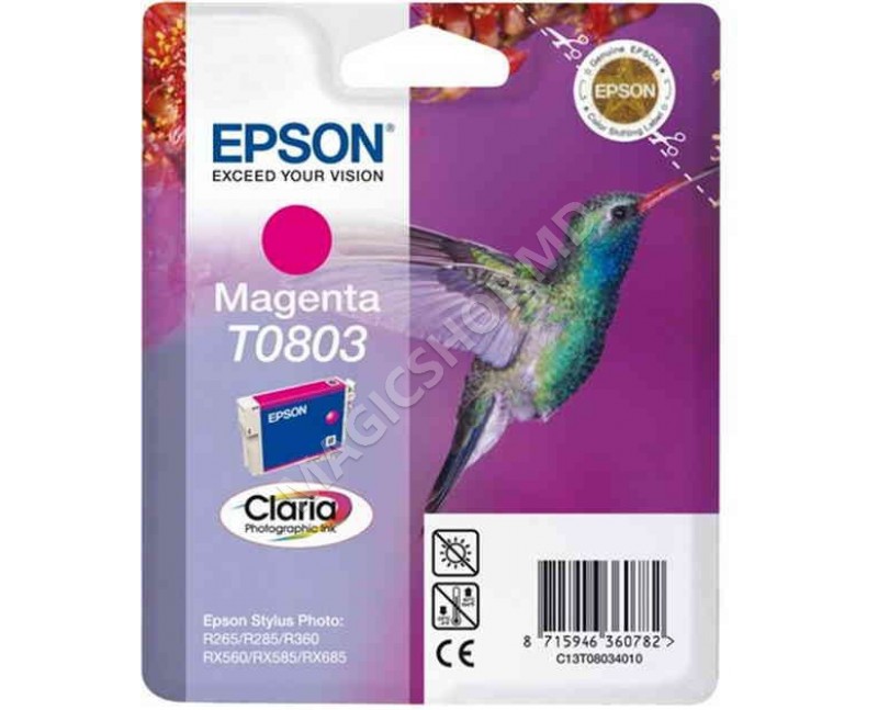 Cartridge Epson T08034010