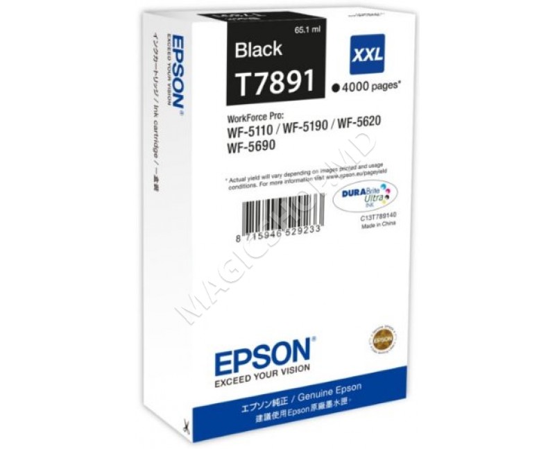 Cartridge Epson T789440