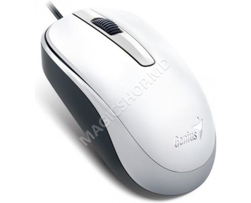 Mouse Genius DX-120 Alb