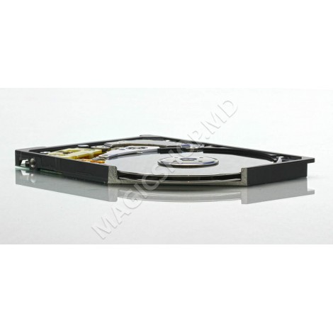 Hard disk Hitachi HTS541010B7E610 1000GB