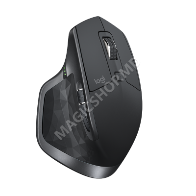 Mouse Logitech MX Master 2S negru