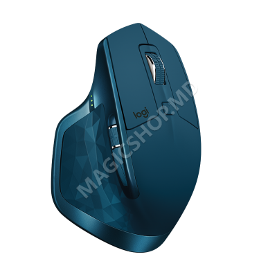 Мышка Logitech MX Master 2S синий