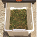 Tocator de crengi electric Villager VC 2500