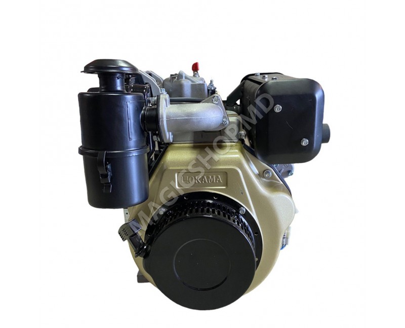 Motor p-u motocultor WORKer Diesel 9 C.P. cu starter
