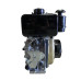 Motor motorina 9CP Technoworker (Cu starter)