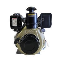 Motor motorina 9CP Technoworker (Cu starter)