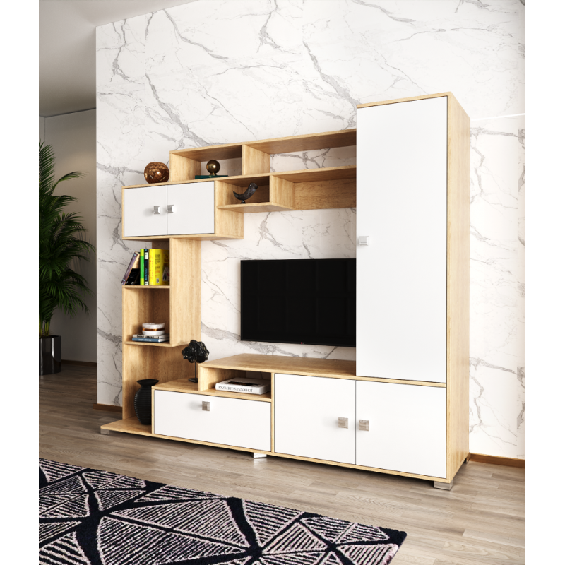 Living ML - 11(2100)