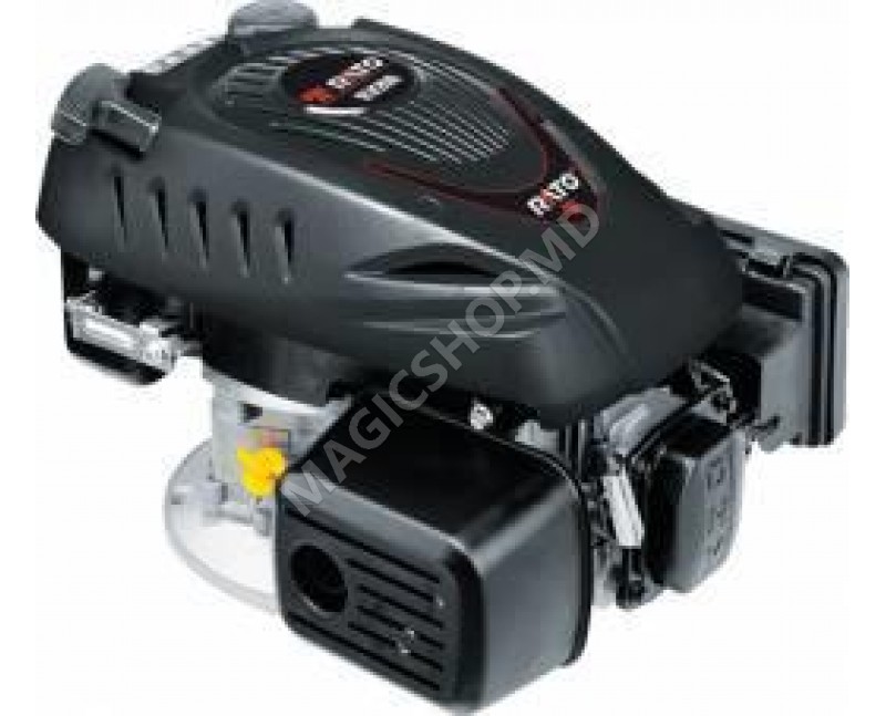 Motor electric RATO vertical RV175