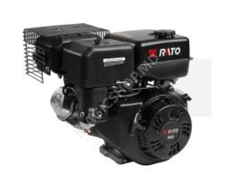 Электродвигатель RATO 390-13HP-d.25