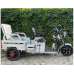 Triciclu electric FH980 1000W-60V/32A