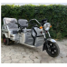 Triciclu electric FH980 1000W-60V/32A
