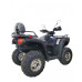 ATV pe benzina RATO-250cc