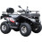 ATV pe benzina RATO-250cc