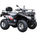 ATV pe benzina RATO-250cc
