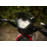 Motocicleta - Scooter Rato T-Fun 125cc