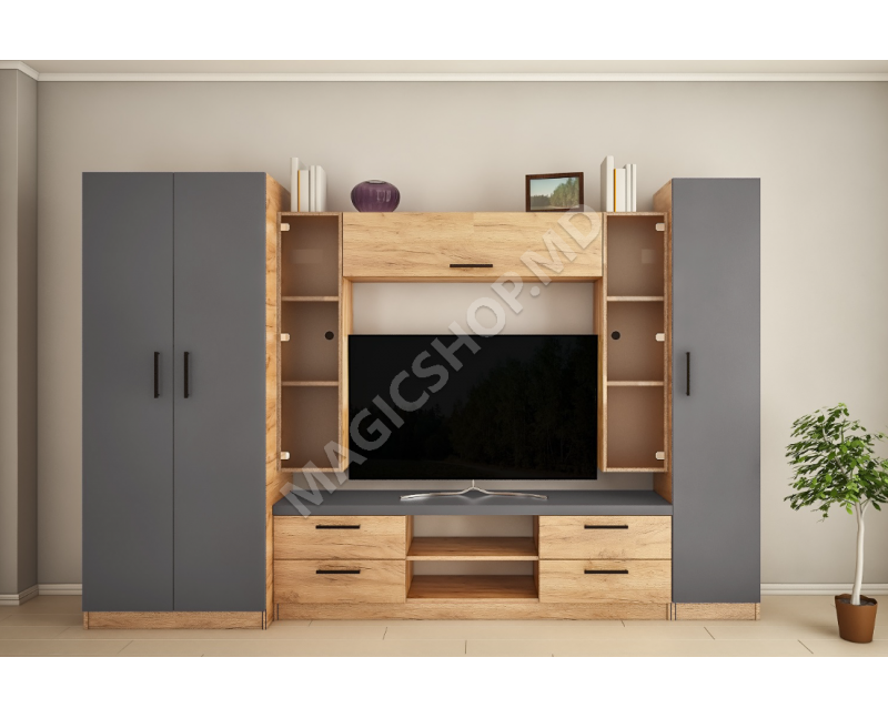 Living Elena Max-Z cu sticla (ТV-1,2m) 3,0m