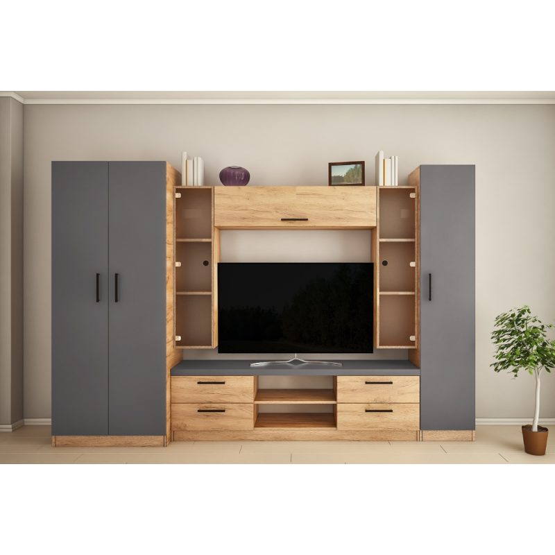 Living Elena Max-Z cu sticla (ТV-1,2m) 3,0m