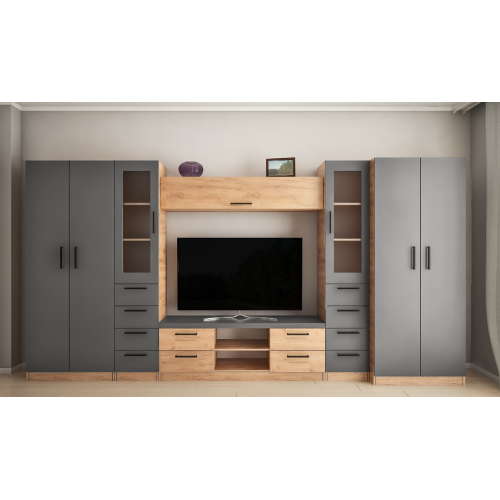 Living Liudmila Mini-Z cu sticla (ТV-1,5m) 3,9m