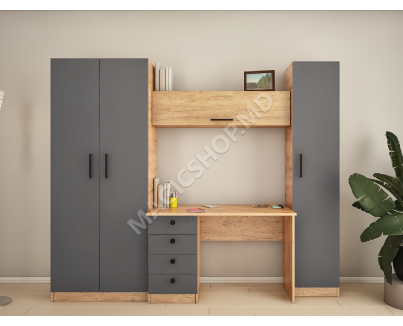 Living Iliusa – Z (masa-1,2) 2,4m