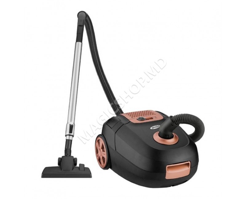 Aspirator GoldMaster GM 7575 Black/Gold