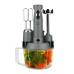Robot de bucatarie GoldMaster GM 7239 AN 1000 W