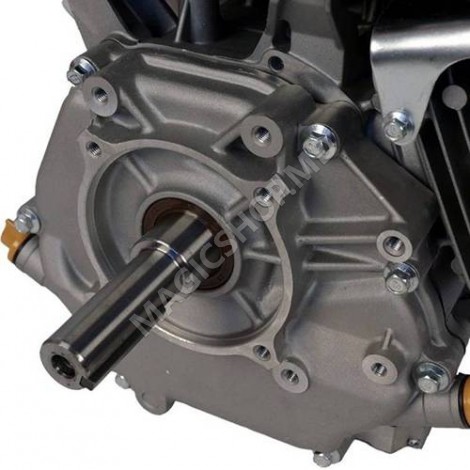 Motor Loncin 15CP - 420CC 190F DH320 Benzină