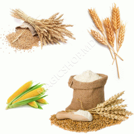 Роторная зерновая мельница RMP60L с ножным приводом