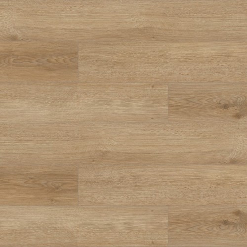 Laminat PM-684 Didim 10mm