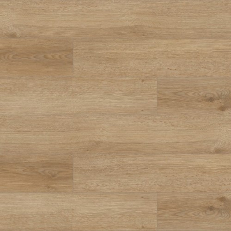 Laminat PM-684 Didim 10mm