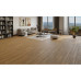 Laminat PP-514 Palermo 12mm