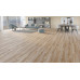 Laminat VX-797 Safranbolu 5G 8mm