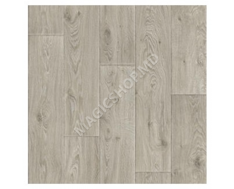 Linoleum Evolution Raymond 7