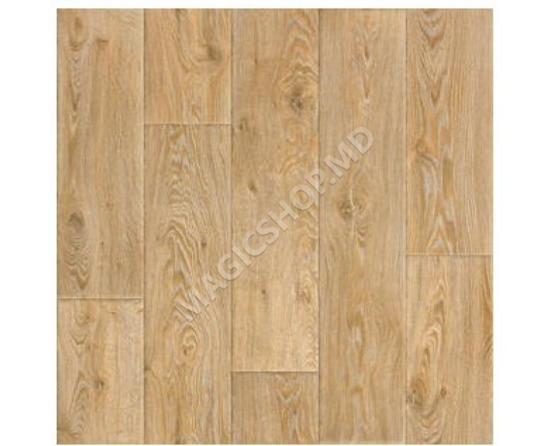 Linoleum Evolution Raymond 2