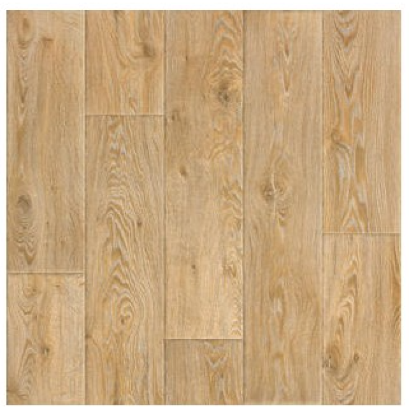 Linoleum Evolution Raymond 2