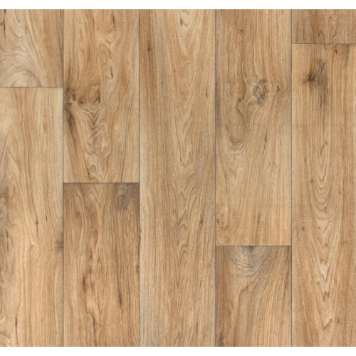 Linoleum Evolution Wagner 2