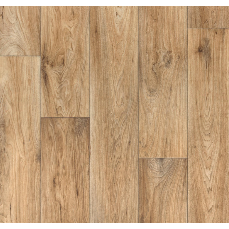 Linoleum Evolution Wagner 2