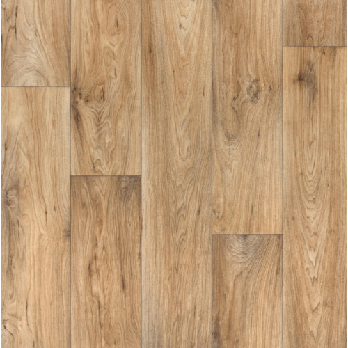 Linoleum Evolution Wagner 2