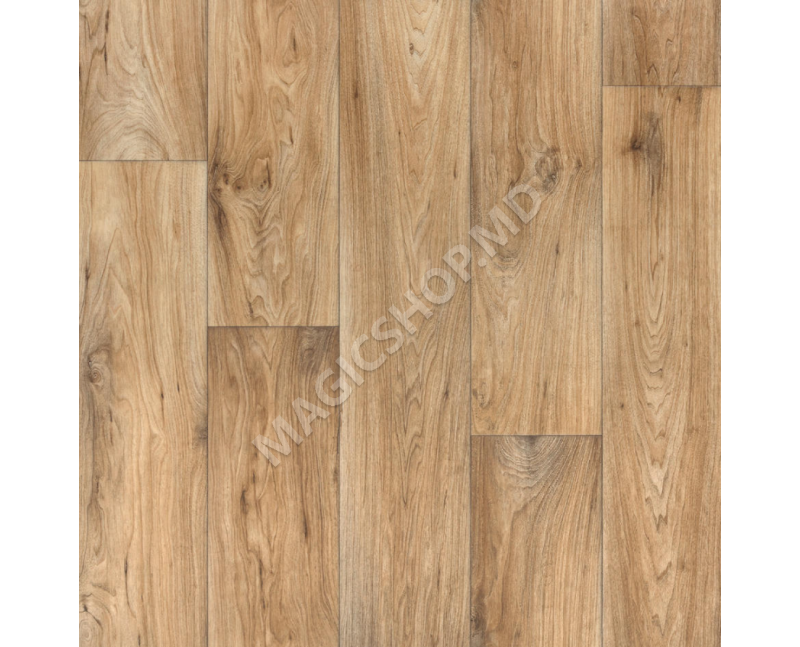 Linoleum Evolution Wagner 2