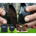 Dispozitiv pentru inradacinare plante