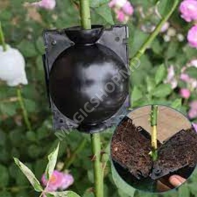 Dispozitiv pentru inradacinare plante