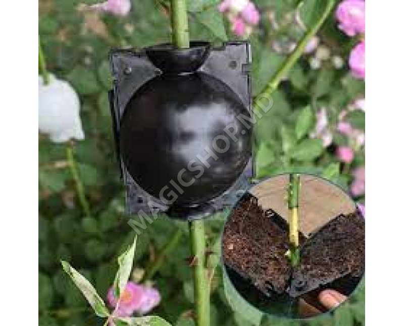 Dispozitiv pentru inradacinare plante