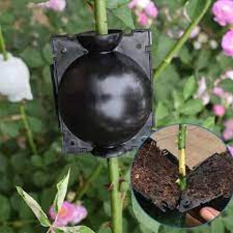 Dispozitiv pentru inradacinare plante