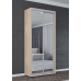Dulap Compact 100; 110; 120; 130; 140; 150x45x220 cm cu uși glisante Oglindă